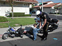 FunPic (01).jpg